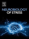 Neurobiology of Stress雜志封面
